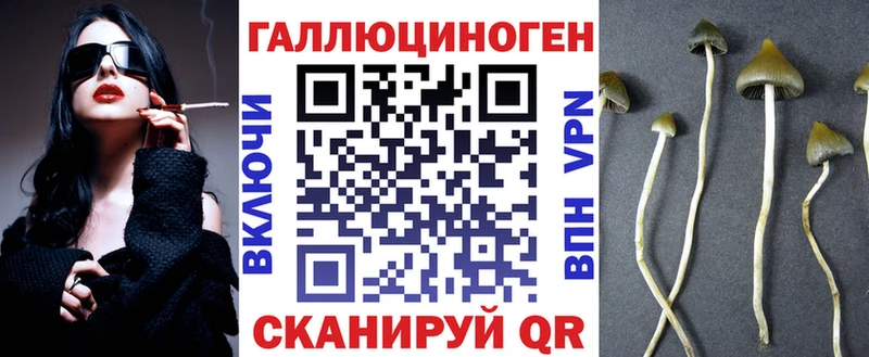 omg ссылки darknet формула Псилоцибиновые грибы GOLDEN TEACHER Кинель